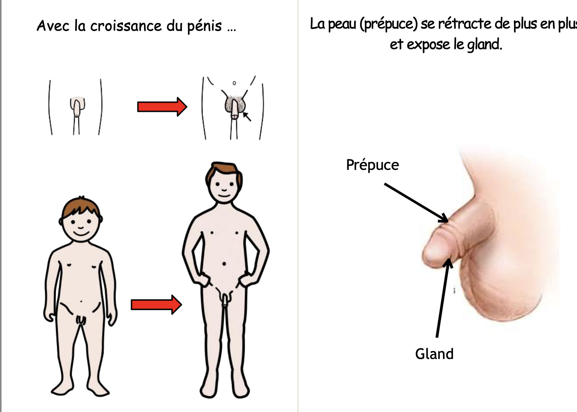 Mini livre - histoire sociale - hygiène intime